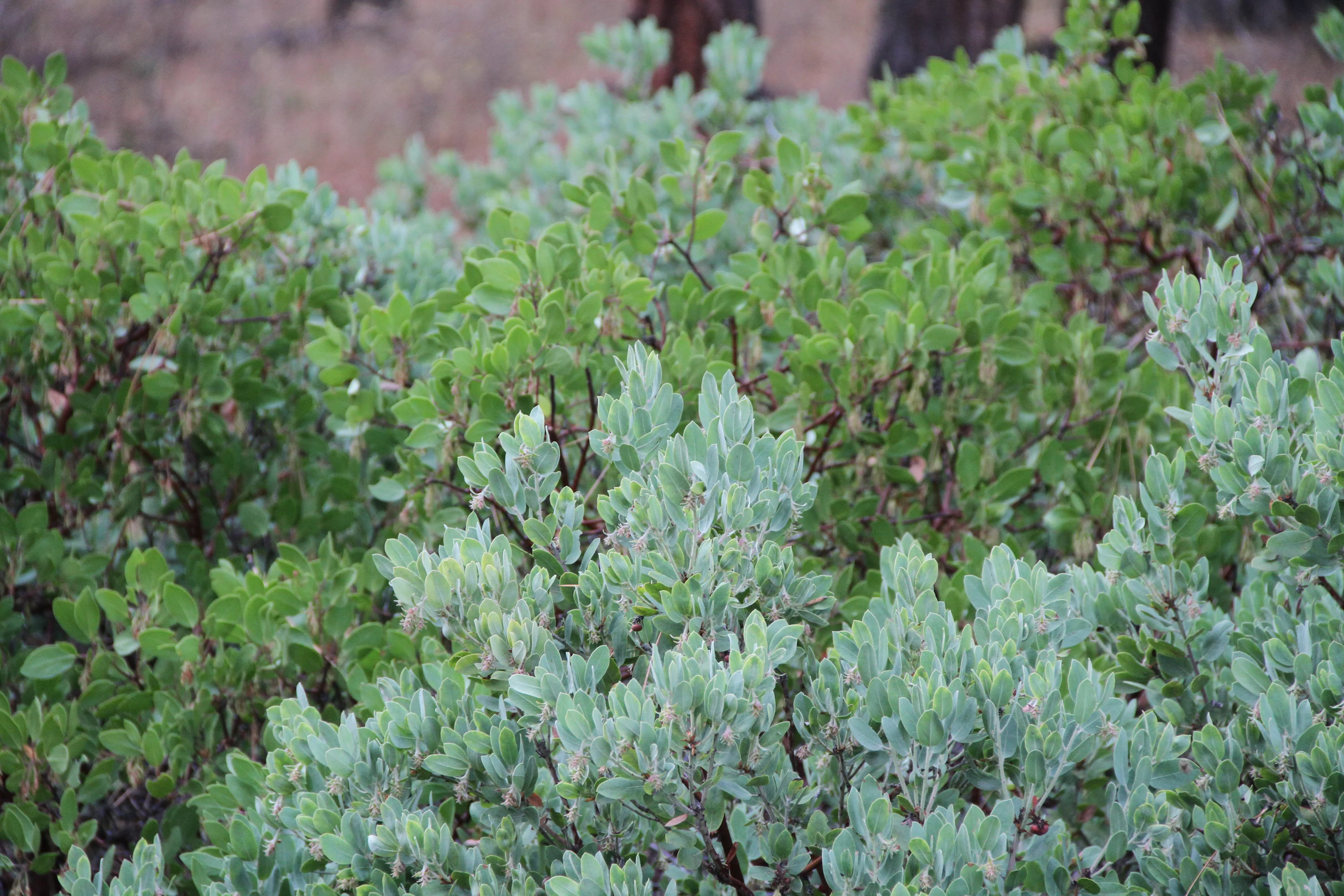 Cultivate Your Extraordinary Garden Escape